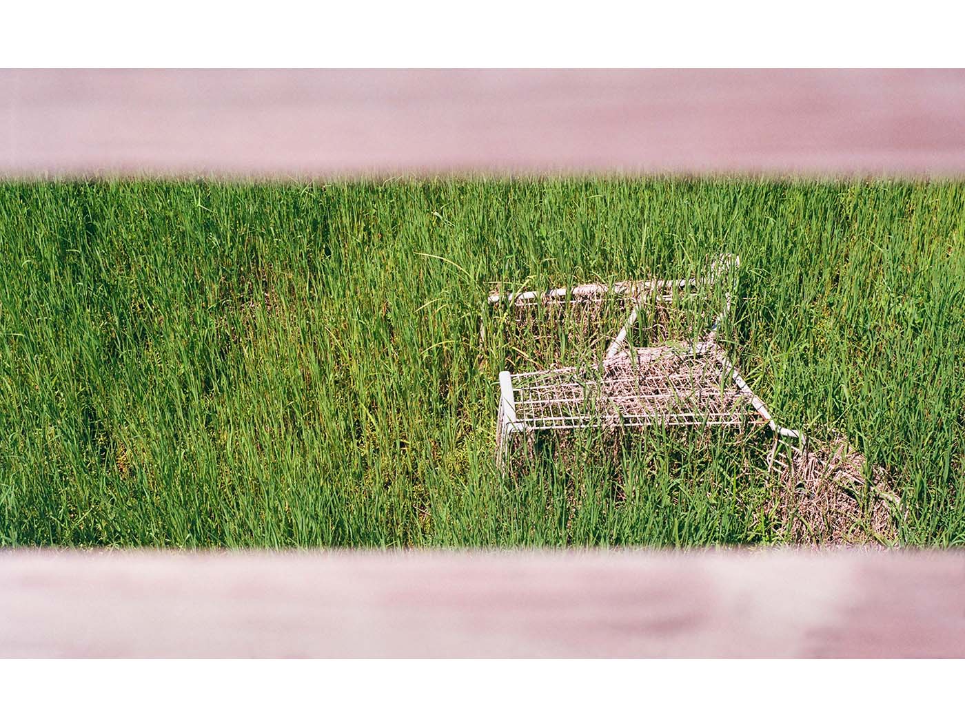 Groceries trolley lying on the grass