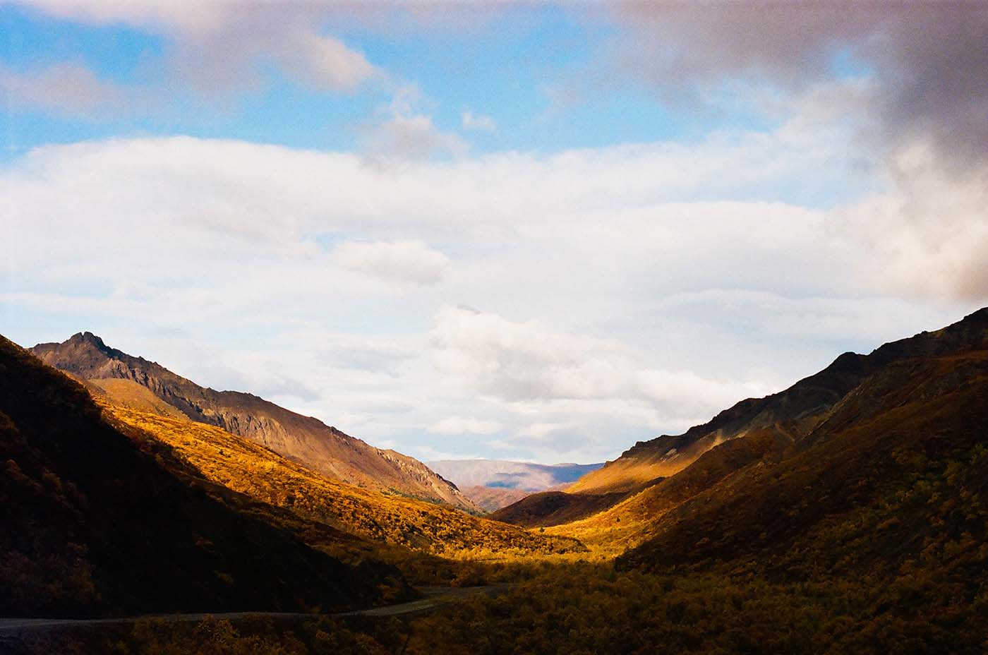 Shadows and golden fields in the mountains in Denali, Alaska