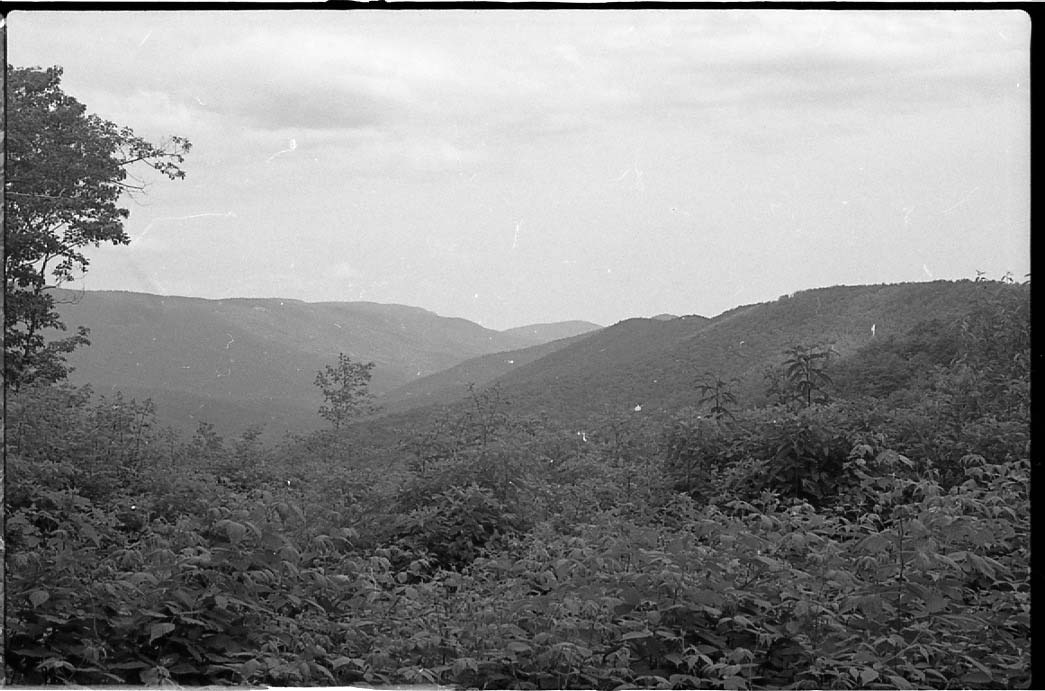 Mountain landscape with vegetation in vintage photo