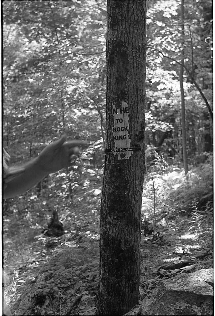 Tree trunk with wethered sign and blurred hand, vintage vibe