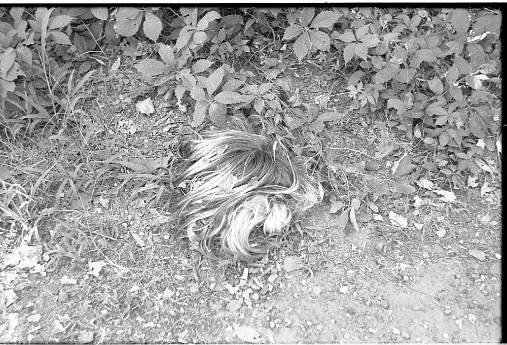 Wig on the ground and plants in lo-fi photo