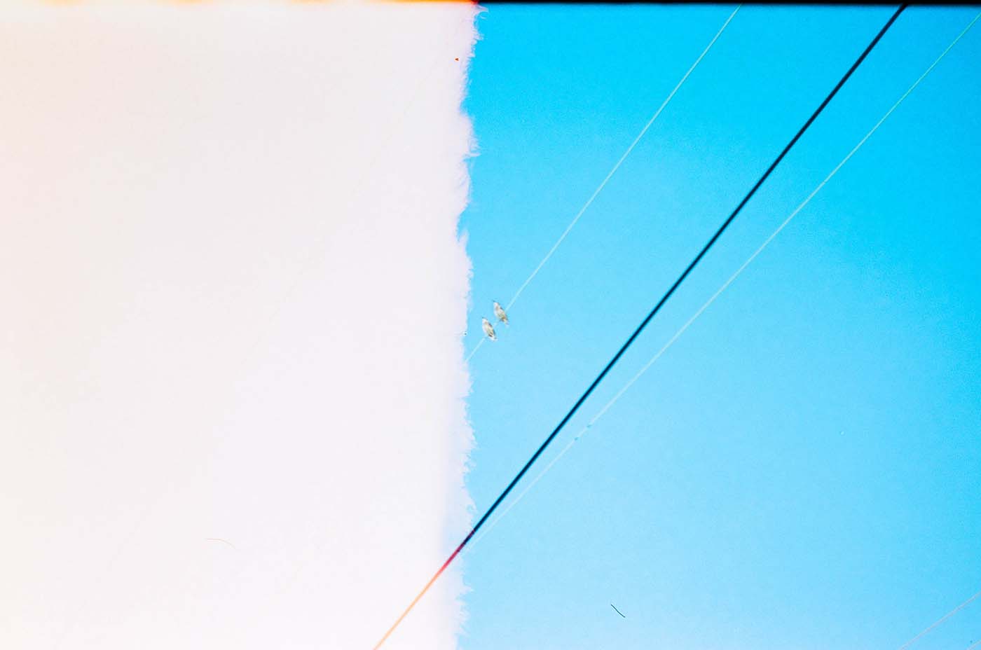 Two birds standing on cable and white texture